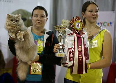 �������� ����� '���-�����-������' 22-23 ������ 2014 6_61_169A8555 copy.jpg